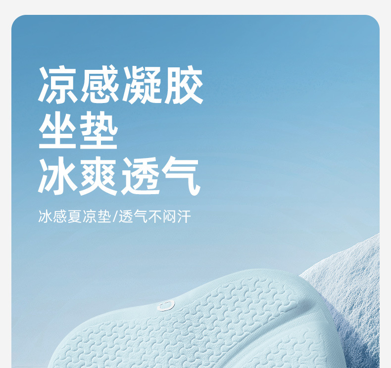 Joe's Car Products 24 Years Ice Yue Cushion Z-603