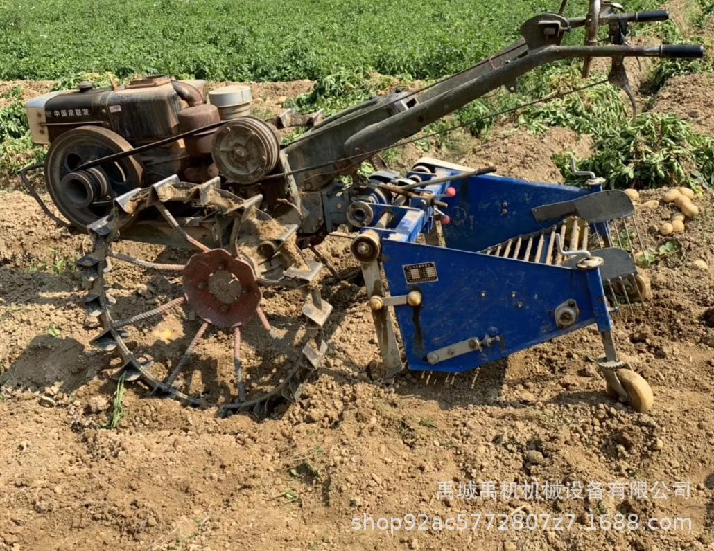 手扶土豆收获机