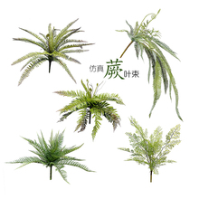 ާ�ݾ��b�ͥԺ�����~�������X����ɭϵ����ֲ��̨�bٲ�˹