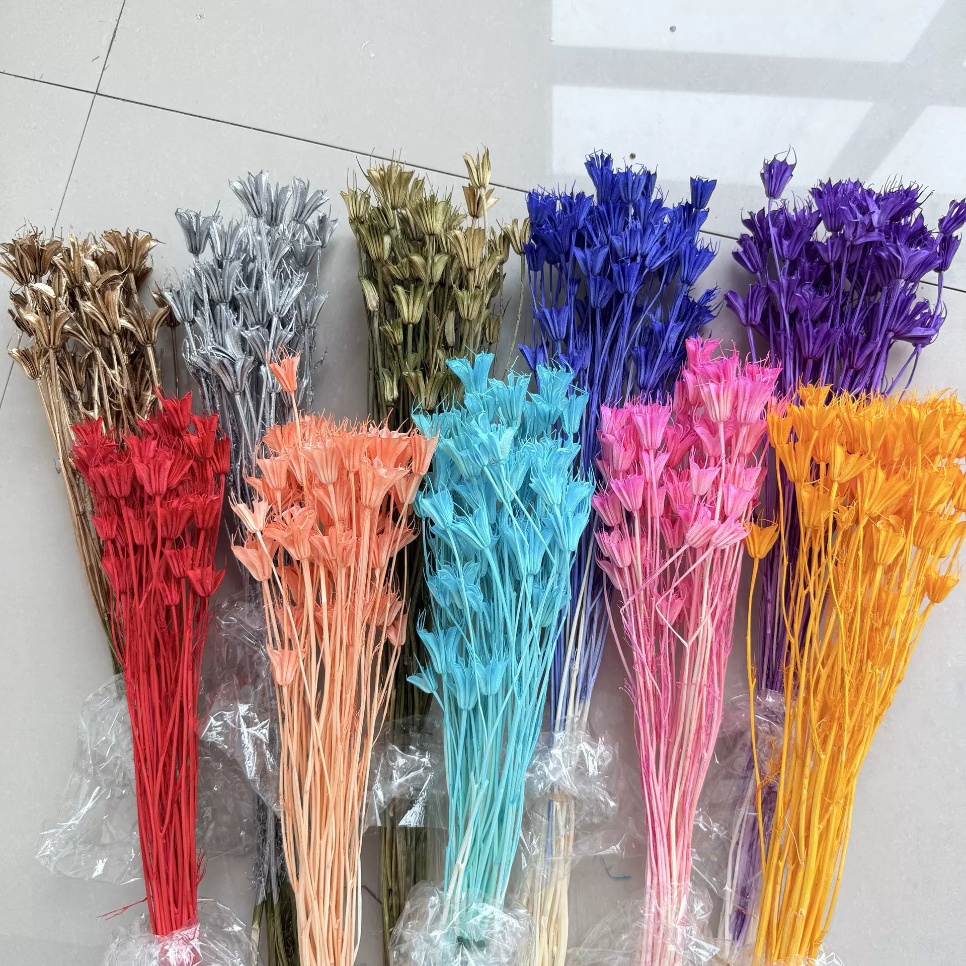 八角花干花小清新插花手工diy花材真花永生花室内装饰厂家批发