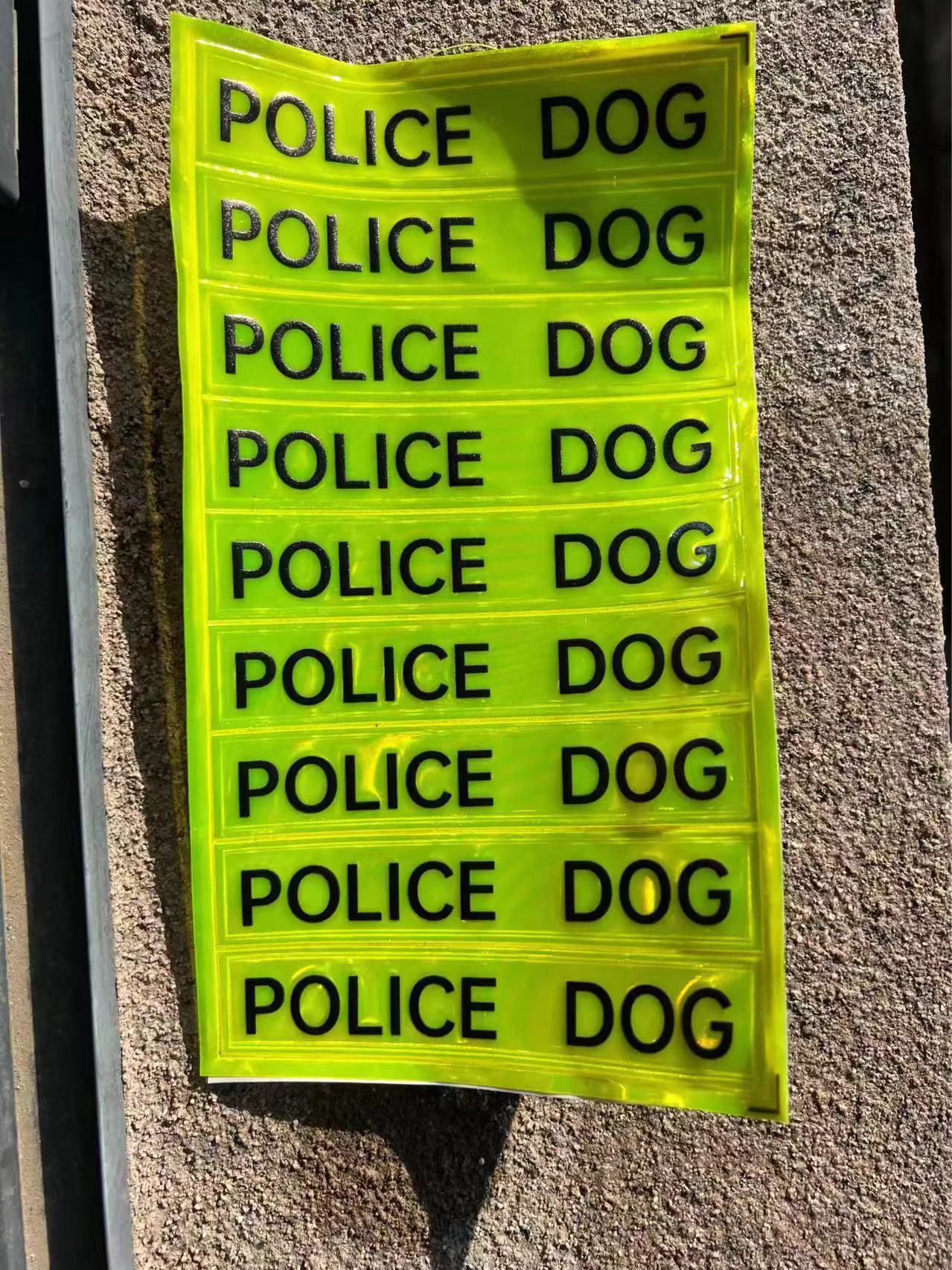 4e4766a36d00a9e7aebf7bc6a0f206