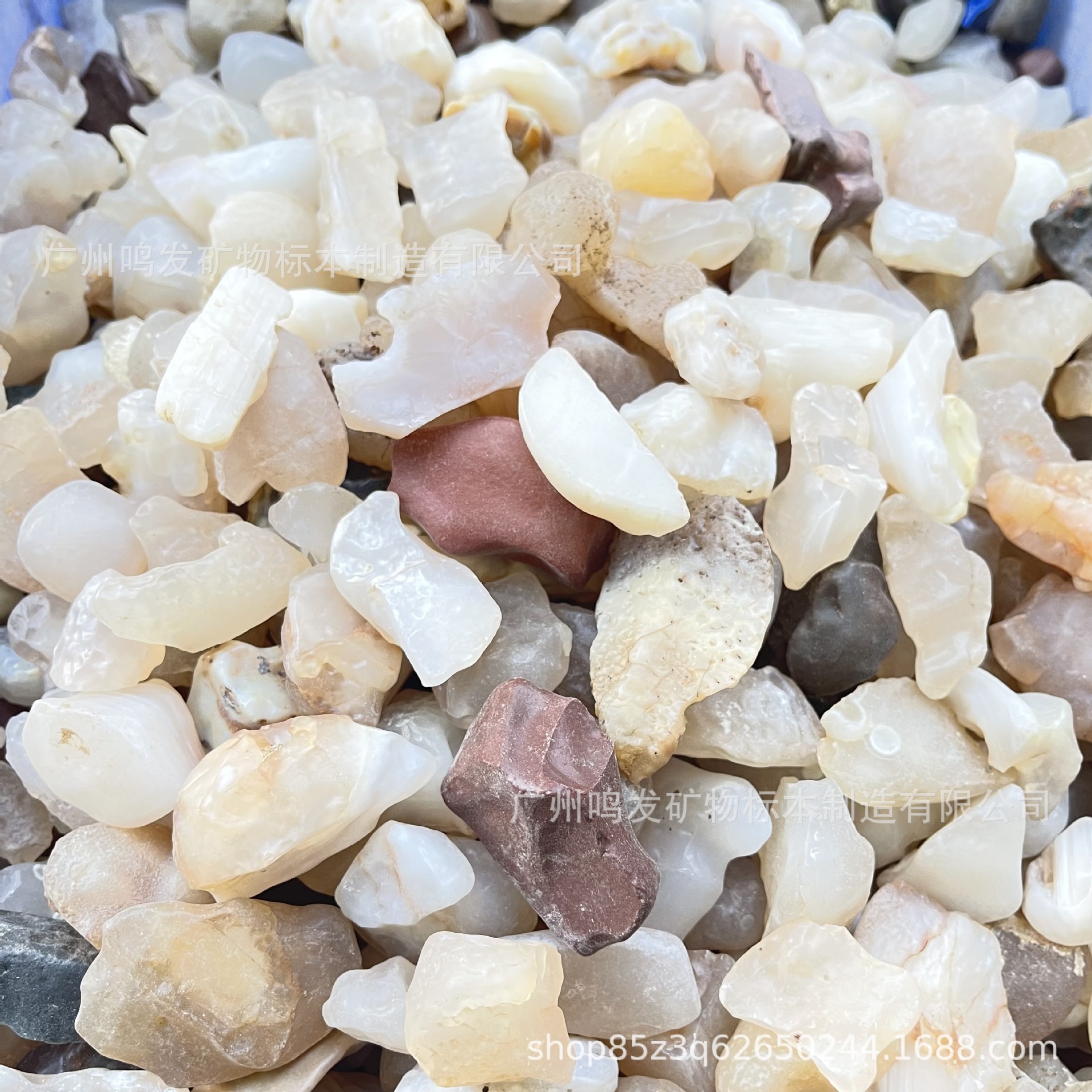 手机图片IMG_0473