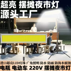 其他专用灯具