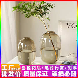 马醉木花瓶玻璃高级感北欧艺术摆件客厅轻奢ins大肚水培植物器皿