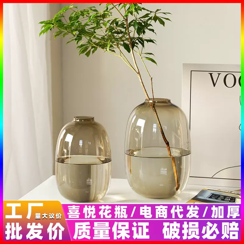 马醉木花瓶玻璃高级感北欧艺术摆件客厅轻奢ins大肚水培植物器皿