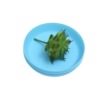 Plastic flowerpot, round small landing gear, 7 colors, wholesale