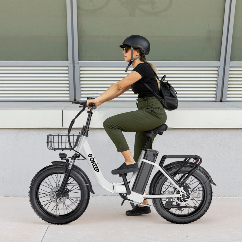 Cross-Border Foreign Trade Customized Fat Tire Commuting Folding Electric Bicycle with Long Battery Life Lithium Battery Moped Electric Motorcycle