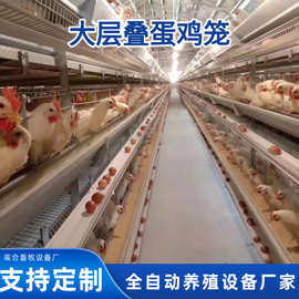 大层叠自动化笼具热镀锌蛋鸡笼全自动收集清理集蛋鸡粪养殖设备