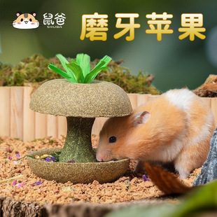 ��ւ}���ĥ����z�I�B��ʳ��ĥʳ���ܿ�ʳ���쾰�����Ʒ