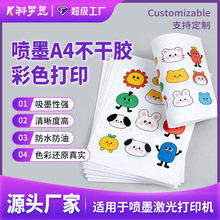 ��ī�����ӡA4�������z�˺������za4��O�l�a���l�˺��N��ˮ����