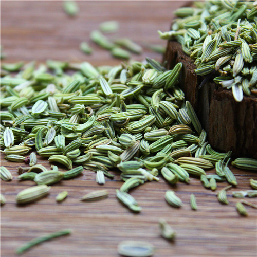 Fennel Leaf Green Fennel Seed Hot Pot Base Seasoning Spices 500g Gansu Origin Bulk Supply
