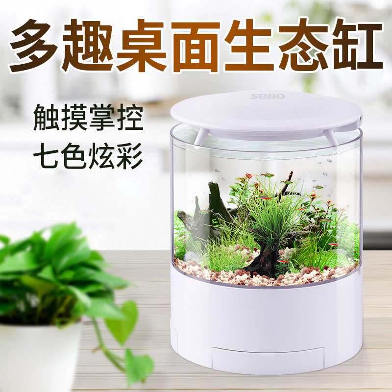 Small glass creative aquarium for office