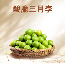 ������������������������������ЋDˮ������ժ�l�ǏV��