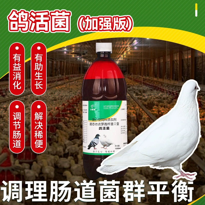 Живые птичьи бактерии для голубей, живые бактерии King для голубей, комплексное средство для лечения диареи у голубей, зеленого кала, живые птичьи бактерии оптом.