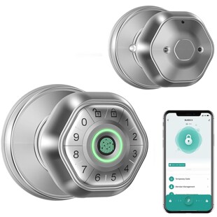 Spherical Smart Fingerprint Lock Wooden Door Graffiti Mobile App Control Door Lock Cross-Border Export Ball Lock Modern Simple