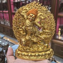 ��ŭɏ��/���/ɏ��/ɏ������/�w���ʲ���/15cm���~�؂�����