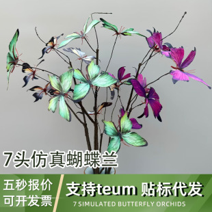 �������w�����ٺ����Ҿ��b��zӰ�����쾰���ķ���7�^�����m�ٻ�