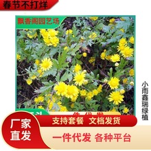 һ�����lҰ�ջ��N��ɽ�ջ��ݲ軨���N���S��ɽ��·߅���������܈@