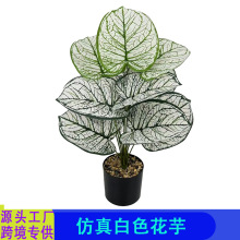 �羳����Gֲ��ɫ�����~���Լ٘�ֲ���҃���͏d�ٻ��쾰�[�����l