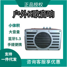 芒果之声蓝牙无线音响便携式手提K歌家用唱歌KTV教学大音量音箱