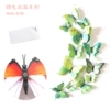 H-003 double-magnet with glue-green