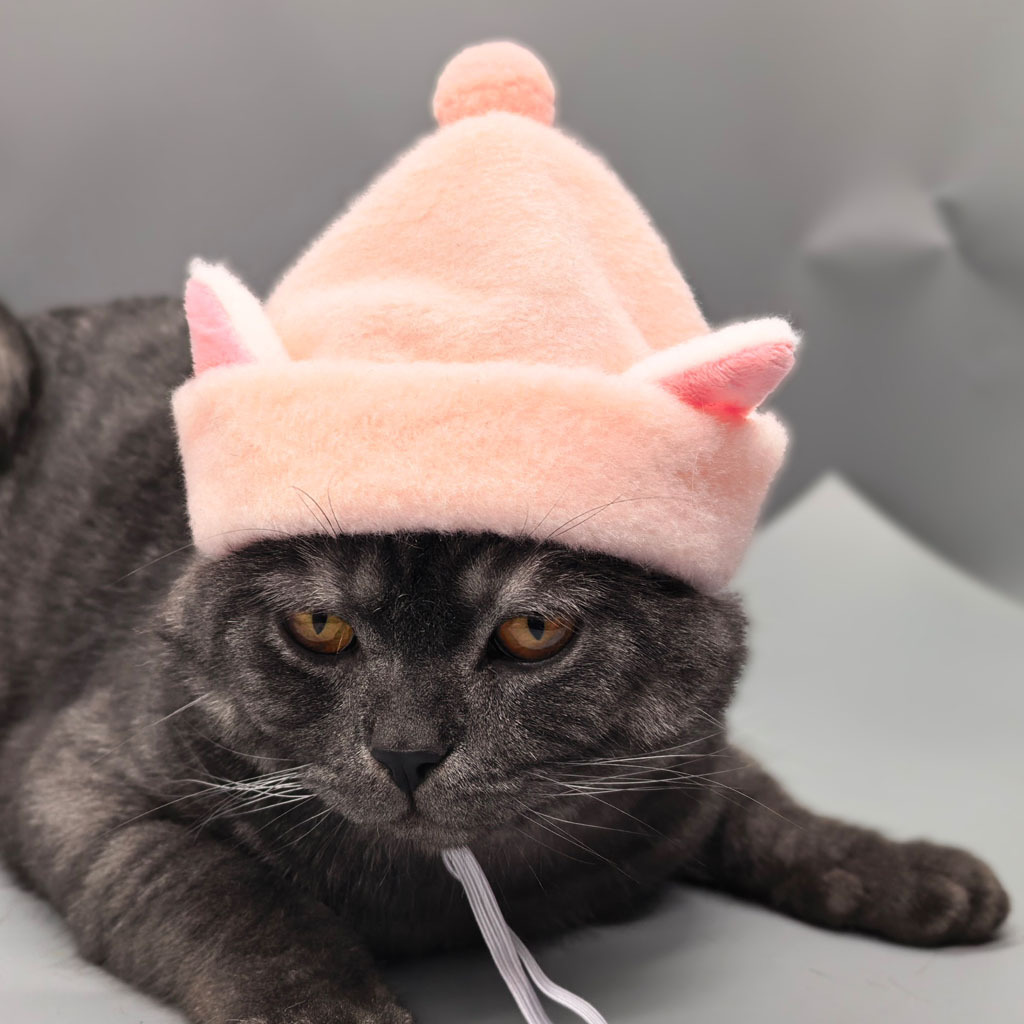 Gorro de pelagem sintética de coelho para gatos e cães_voghion.com