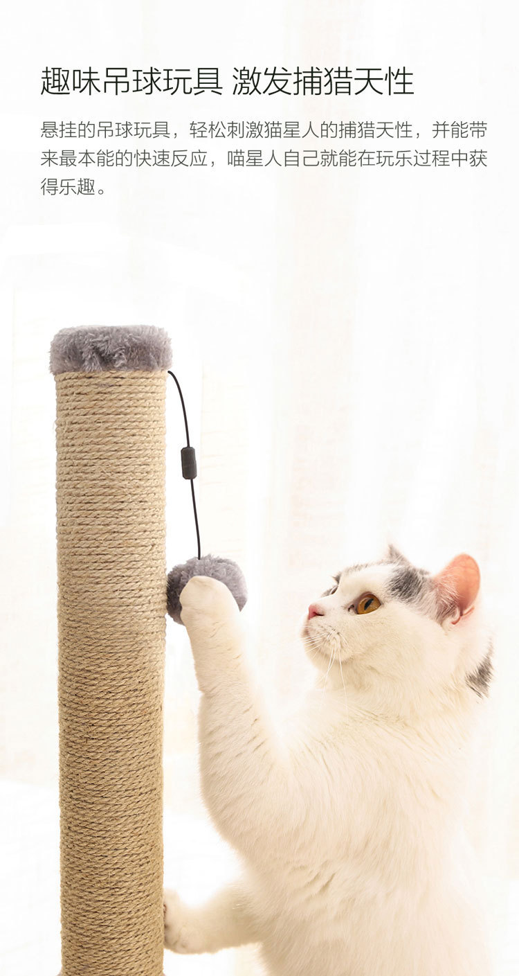 小兽星猫爬柱_03.jpg