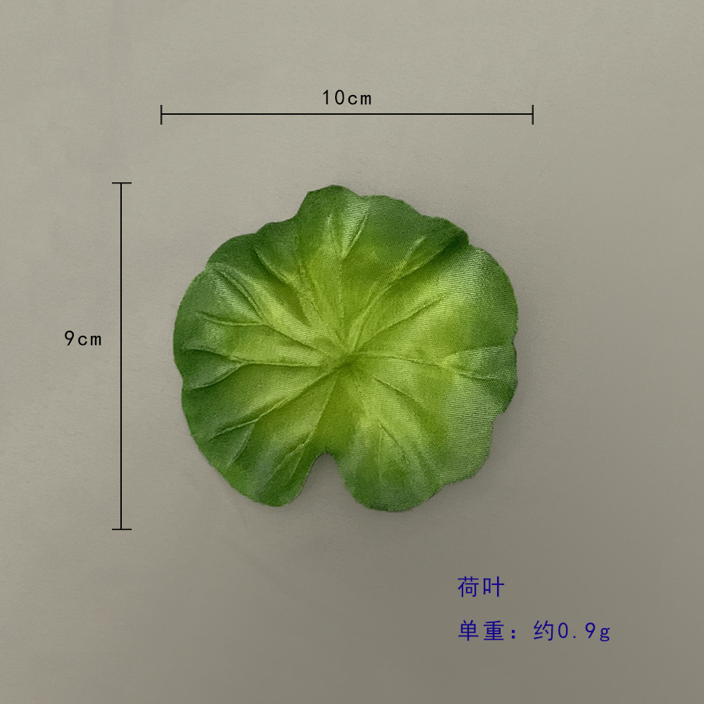 연꽃 잎