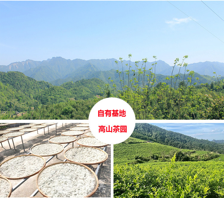 Wild Mei Tea Zhangjiajie Premium Wild Vine Tea 500g Pre-Qingming Purple Gold Bud Tips Hot Brew Herbal Tea details