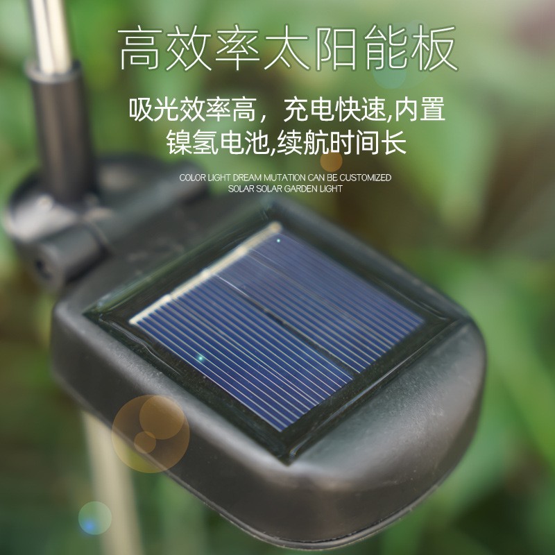 ̫���ܹ��˵ƻ����ˮ���۵��߲ʺ�������ͥԺ��԰����ƺ��ص�