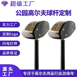 高尔夫配件;高尔夫球;高尔夫球钉