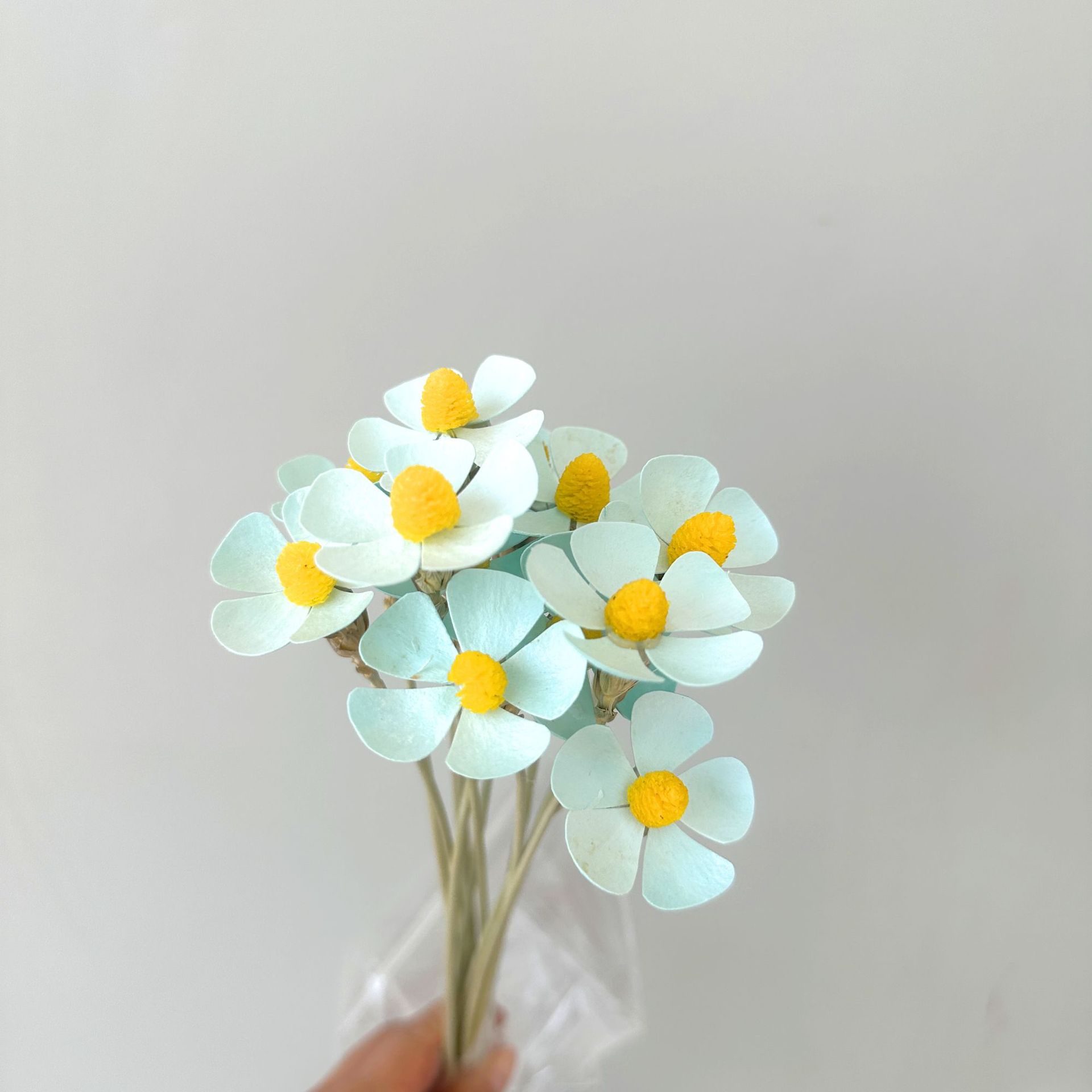 라이트 블루 12개 스틱/팩