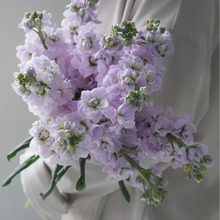 ����r�����l���_�m�滨����ζ��c�����û��������r��؛Դ