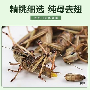 �������r�ك� ȫĸΛ�� ȥ�Ꭷ���ѻ��x  ��Λ�� ���� �|���w��