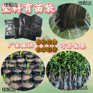 С̖�����������癉�ƠI�B����ɫ�Ӻ�Nʯ��ֲ�����Ș���I�B��