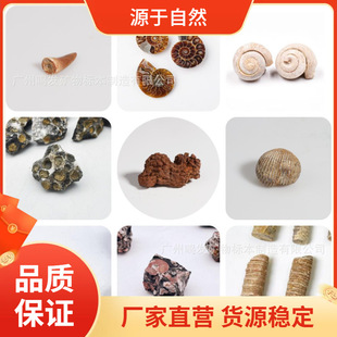 ��Ȼ��ʯ�����ھ����ä�й����ﺣ���ֲ�ﻯʯ���X����ԭʯ���l