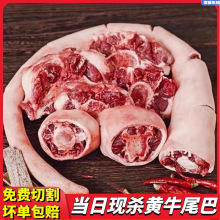 20�Ƥţβ������ԭ���Sţ���r�F��ţβ���Sţ������ţ�s