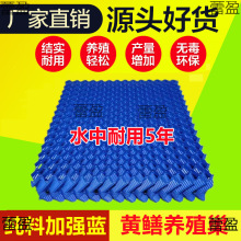 �S�X�Bֳ��ֳ�X���B�S�X���X�~����Ѩ�Cˮ��Λ������߲۷�ֳ���q