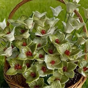 ������մɻ��ֹ��������b�diy�������ﻨ���l���滨���羳�N��
