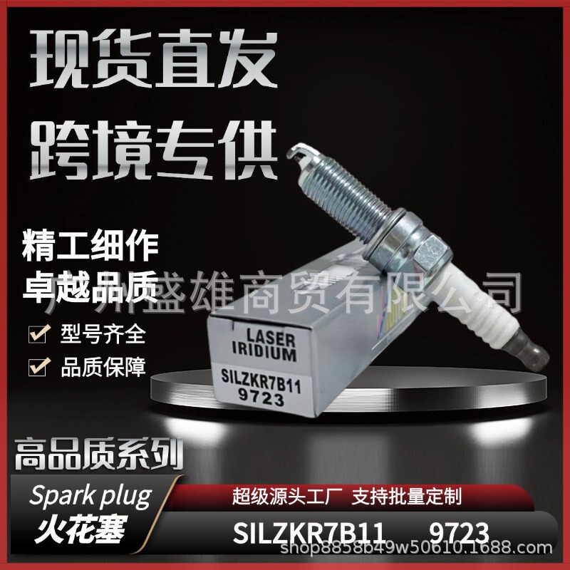 9723 Is Suitable for Hyundai Elantra Sonata Mistra Kia K2 Car Platinum Spark Plug Silzkr7B11
