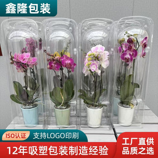 �p11���u�������Ϻк����m���b���r���Y�������m��PET͸����ӆ��