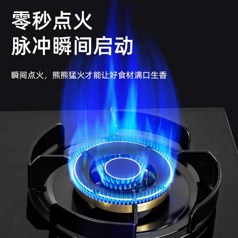 Factory wholesale fierce fire gas stove home counter liquefied gas natural gas automatic shut-off protection dual-eye gas stove