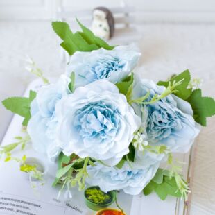 �羳���滨��c�û��b�С����ĵ������ �ҾӲ��÷���5�^���ĵ��