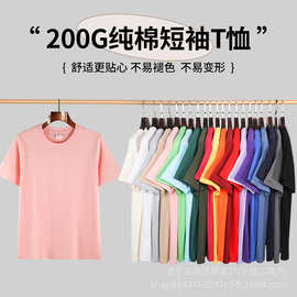 夏季200克纯棉圆领t恤男女同款简约光板短袖基础款正肩体恤批发