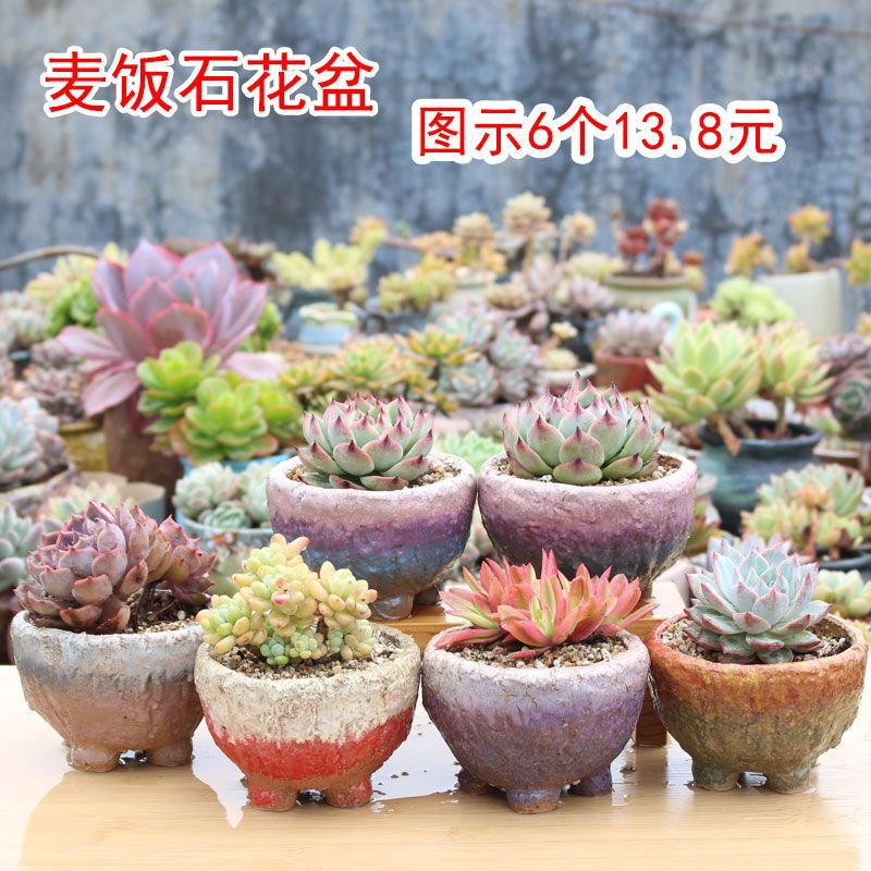 Ceramic Flower Pot for Succulents, Breathable Coarse Pottery with Large Diameter, Creative Pottery Pot with Free Shipping