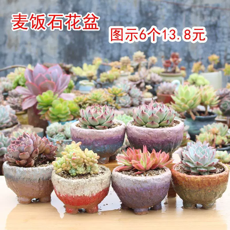 花盆陶瓷多肉麦饭石粗陶透气拇指盆大口径拼盘老桩盆创意陶盆包邮