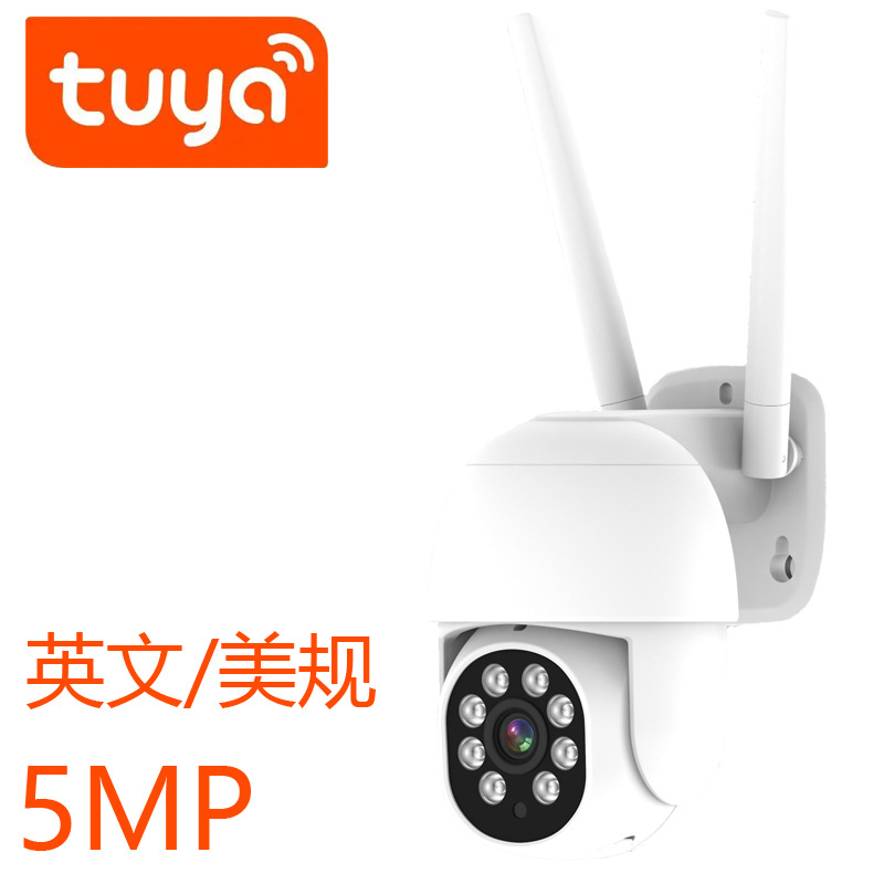 5MP graffiti al aire libre con puerto de red cámara al aire libre tuya inalámbrica 5 millones cámara de vigilancia de alta definición RJ45