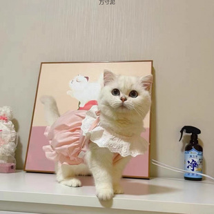 Pet Cat and Dog Cardigan Pumpkin Dress Spring and Summer Outing Clothes Thin Anti-Hair Maltese Supply Chain