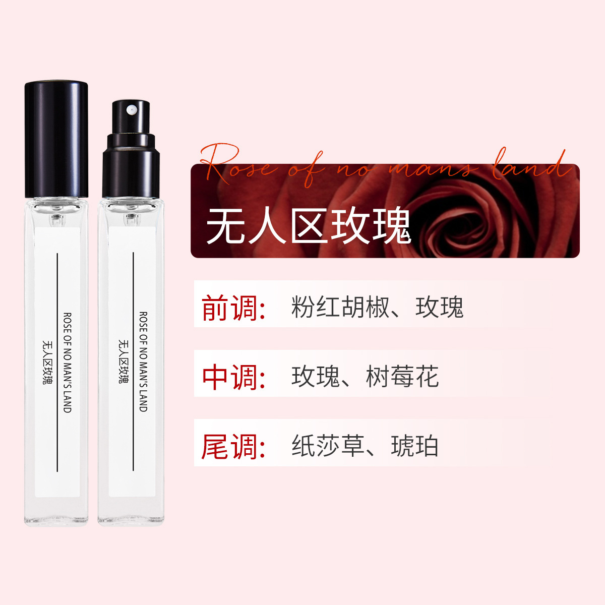 무인지대의 장미