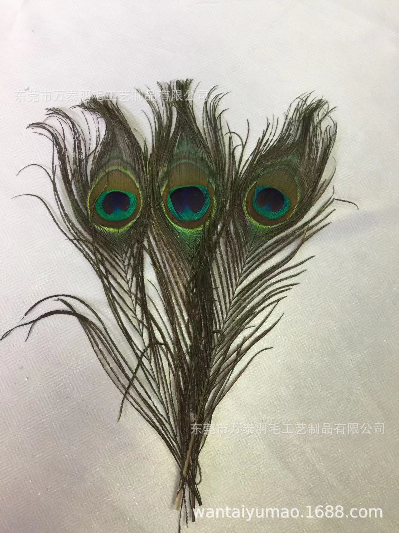 微信图片_20230216170712.jpg
